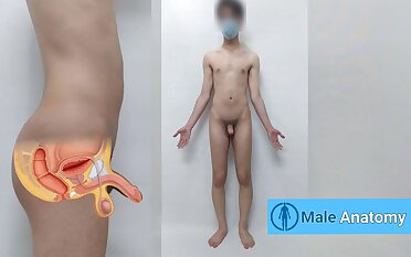 Real male anatomy tutorial, studying the anatomy of the nude man body ( Danieltp2002 ) ( Iranian boy )